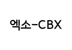 KPOP EXO-CBX(엑소-CBX、エクソ-CBX) k-pop ファンサ ボード 型紙 通常