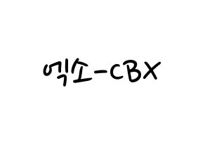 KPOP EXO-CBX(엑소-CBX、エクソ-CBX) 応援ボード ハングル 型紙  通常