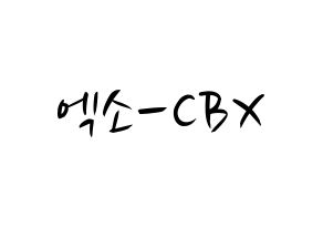 KPOP EXO-CBX(엑소-CBX、エクソ-CBX) k-pop 応援ボード メッセージ 型紙 通常