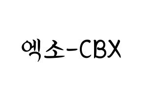 KPOP EXO-CBX(엑소-CBX、エクソ-CBX) k-pop 応援ボード メッセージ 型紙 通常