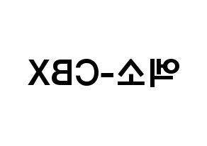 KPOP歌手 EXO-CBX(엑소-CBX、エクソ-CBX) 応援ボード型紙、うちわ型紙　韓国語/ハングル文字 左右反転