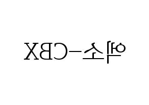 無料 KPOP歌手 EXO-CBX(엑소-CBX、エクソ-CBX) ハングル応援ボード型紙、応援グッズ制作 左右反転
