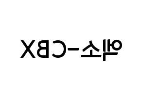 KPOP EXO-CBX(엑소-CBX、エクソ-CBX) k-pop ファンサ ボード 型紙 左右反転
