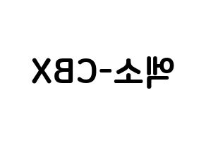 KPOP EXO-CBX(엑소-CBX、エクソ-CBX) k-pop ボード ハングル表記 言葉 左右反転