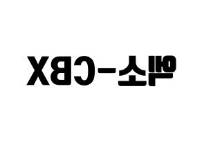 無料 KPOP EXO-CBX(엑소-CBX、エクソ-CBX) ハングルボード型紙、ハングルうちわ型紙 左右反転