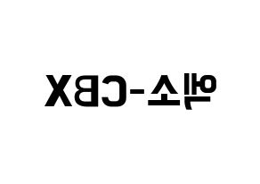 KPOP EXO-CBX(엑소-CBX、エクソ-CBX) k-pop ファンサ ボード 型紙 左右反転