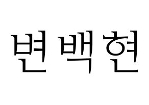 KPOP EXO(엑소、エクソ) 백현 (ベクヒョン) 応援ボード・うちわ　韓国語/ハングル文字型紙 通常