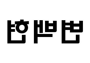 KPOP EXO(엑소、エクソ) 백현 (ビョン・ベクヒョン, ベクヒョン) 応援ボード、うちわ無料型紙、応援グッズ 左右反転