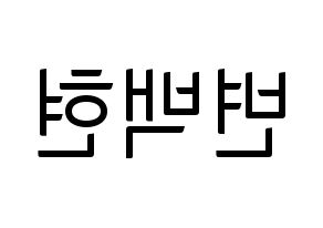 KPOP EXO(엑소、エクソ) 백현 (ベクヒョン) コンサート用　応援ボード・うちわ　韓国語/ハングル文字型紙 左右反転