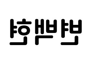 KPOP EXO(엑소、エクソ) 백현 (ビョン・ベクヒョン, ベクヒョン) k-pop アイドル名前　ボード 言葉 左右反転