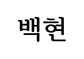 KPOP EXO(엑소、エクソ) 백현 (ベクヒョン) プリント用応援ボード型紙、うちわ型紙　韓国語/ハングル文字型紙 通常