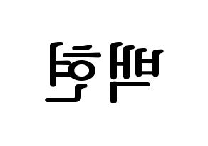 KPOP EXO(엑소、エクソ) 백현 (ベクヒョン) プリント用応援ボード型紙、うちわ型紙　韓国語/ハングル文字型紙 左右反転