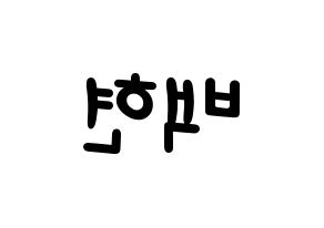 KPOP EXO(엑소、エクソ) 백현 (ベクヒョン) 名前 応援ボード 作り方 左右反転