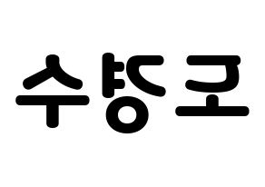 KPOP EXO(엑소、エクソ) 디오 (ディオ) 応援ボード・うちわ　韓国語/ハングル文字型紙 左右反転