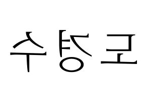 KPOP EXO(엑소、エクソ) 디오 (ディオ) 応援ボード・うちわ　韓国語/ハングル文字型紙 左右反転