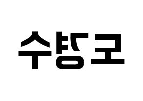 KPOP EXO(엑소、エクソ) 디오 (ディオ) k-pop アイドル名前 ファンサボード 型紙 左右反転