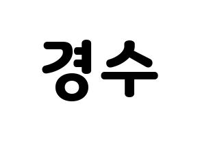 KPOP EXO(엑소、エクソ) 디오 (ディオ) 応援ボード・うちわ　韓国語/ハングル文字型紙 通常