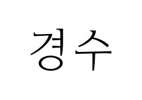 KPOP EXO(엑소、エクソ) 디오 (ディオ) 応援ボード・うちわ　韓国語/ハングル文字型紙 通常