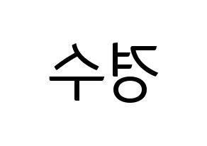 KPOP EXO(엑소、エクソ) 디오 (ディオ) コンサート用　応援ボード・うちわ　韓国語/ハングル文字型紙 左右反転