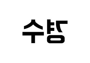 KPOP EXO(엑소、エクソ) 디오 (ディオ) k-pop アイドル名前 ファンサボード 型紙 左右反転