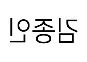 KPOP EXO(엑소、エクソ) 카이 (カイ) プリント用応援ボード型紙、うちわ型紙　韓国語/ハングル文字型紙 左右反転