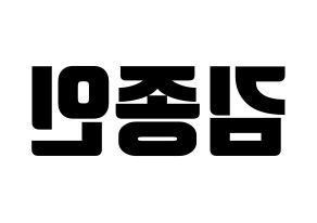 KPOP EXO(엑소、エクソ) 카이 (カイ) コンサート用　応援ボード・うちわ　韓国語/ハングル文字型紙 左右反転