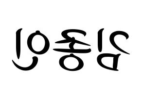 KPOP EXO(엑소、エクソ) 카이 (カイ) k-pop 応援ボード メッセージ 型紙 左右反転