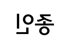 KPOP EXO(엑소、エクソ) 카이 (キム・ジョンイン, カイ) 無料サイン会用、イベント会用応援ボード型紙 左右反転