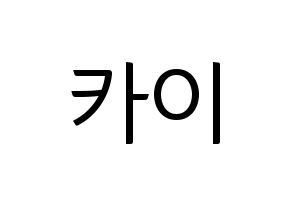 KPOP EXO(엑소、エクソ) 카이 (カイ) コンサート用　応援ボード・うちわ　韓国語/ハングル文字型紙 通常