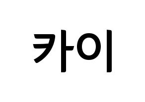 KPOP EXO(엑소、エクソ) 카이 (カイ) k-pop アイドル名前 ファンサボード 型紙 通常