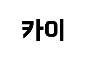 KPOP EXO(엑소、エクソ) 카이 (カイ) k-pop アイドル名前 ファンサボード 型紙 通常