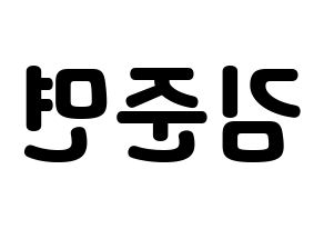 KPOP EXO(엑소、エクソ) 수호 (スホ) 応援ボード・うちわ　韓国語/ハングル文字型紙 左右反転