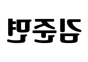 KPOP EXO(엑소、エクソ) 수호 (スホ) コンサート用　応援ボード・うちわ　韓国語/ハングル文字型紙 左右反転