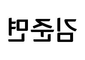 KPOP EXO(엑소、エクソ) 수호 (スホ) k-pop アイドル名前 ファンサボード 型紙 左右反転