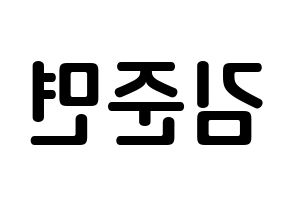 KPOP EXO(엑소、エクソ) 수호 (キム・ジュンミョン, スホ) k-pop アイドル名前　ボード 言葉 左右反転