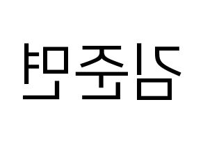KPOP EXO(엑소、エクソ) 수호 (スホ) プリント用応援ボード型紙、うちわ型紙　韓国語/ハングル文字型紙 左右反転