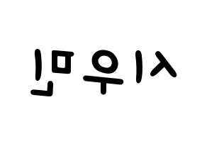 KPOP EXO(엑소、エクソ) 시우민 (シウミン) 名前 応援ボード 作り方 左右反転