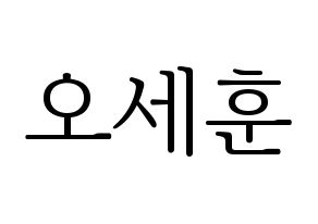 KPOP EXO(엑소、エクソ) 세훈 (セフン) 応援ボード・うちわ　韓国語/ハングル文字型紙 通常