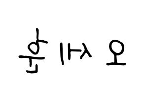 KPOP EXO(엑소、エクソ) 세훈 (セフン) k-pop 応援ボード メッセージ 型紙 左右反転