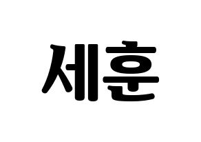 KPOP EXO(엑소、エクソ) 세훈 (セフン) コンサート用　応援ボード・うちわ　韓国語/ハングル文字型紙 通常