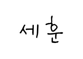 KPOP EXO(엑소、エクソ) 세훈 (セフン) k-pop 応援ボード メッセージ 型紙 通常