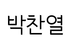 KPOP EXO(엑소、エクソ) 찬열 (チャンヨル) コンサート用　応援ボード・うちわ　韓国語/ハングル文字型紙 通常