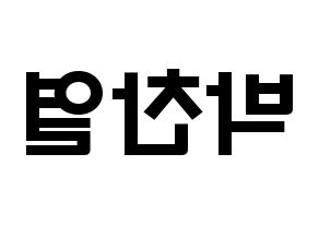 KPOP EXO(엑소、エクソ) 찬열 (パク・チャンヨル, チャンヨル) 応援ボード、うちわ無料型紙、応援グッズ 左右反転