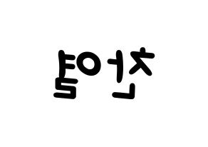 KPOP EXO(엑소、エクソ) 찬열 (チャンヨル) 名前 応援ボード 作り方 左右反転