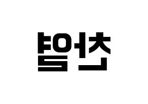 KPOP EXO(엑소、エクソ) 찬열 (チャンヨル) k-pop アイドル名前 ファンサボード 型紙 左右反転