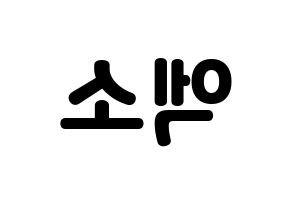 無料 KPOP歌手 EXO(엑소、エクソ) ハングル応援ボード型紙、応援グッズ制作 左右反転