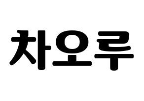 KPOP FIESTAR(피에스타、ピエスタ) 차오루 (チャオ・ルー) コンサート用　応援ボード・うちわ　韓国語/ハングル文字型紙 通常