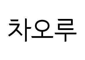 KPOP FIESTAR(피에스타、ピエスタ) 차오루 (チャオ・ルー) コンサート用　応援ボード・うちわ　韓国語/ハングル文字型紙 通常