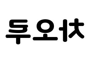KPOP FIESTAR(피에스타、ピエスタ) 차오루 (チャオ・ルー) 応援ボード・うちわ　韓国語/ハングル文字型紙 左右反転