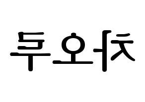 KPOP FIESTAR(피에스타、ピエスタ) 차오루 (チャオ・ルー) プリント用応援ボード型紙、うちわ型紙　韓国語/ハングル文字型紙 左右反転